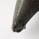 Rare vintage ceramic bird by Aldo Londi for Bitossi_2