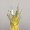 Vintage floor lamp by Roger Rougier 1970_11