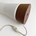 Vintage Philips teak and glass lamp 60s_5