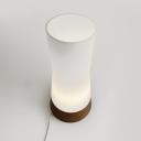 Vintage Philips teak and glass lamp 60s_1