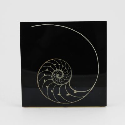 Vintage object with a nautilus resin inclusion, french, circa 1970_0