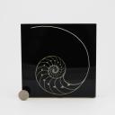 Vintage object with a nautilus resin inclusion, french, circa 1970_7