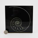 Vintage object with a nautilus resin inclusion, french, circa 1970_1