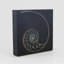 Vintage object with a nautilus resin inclusion, french, circa 1970_6